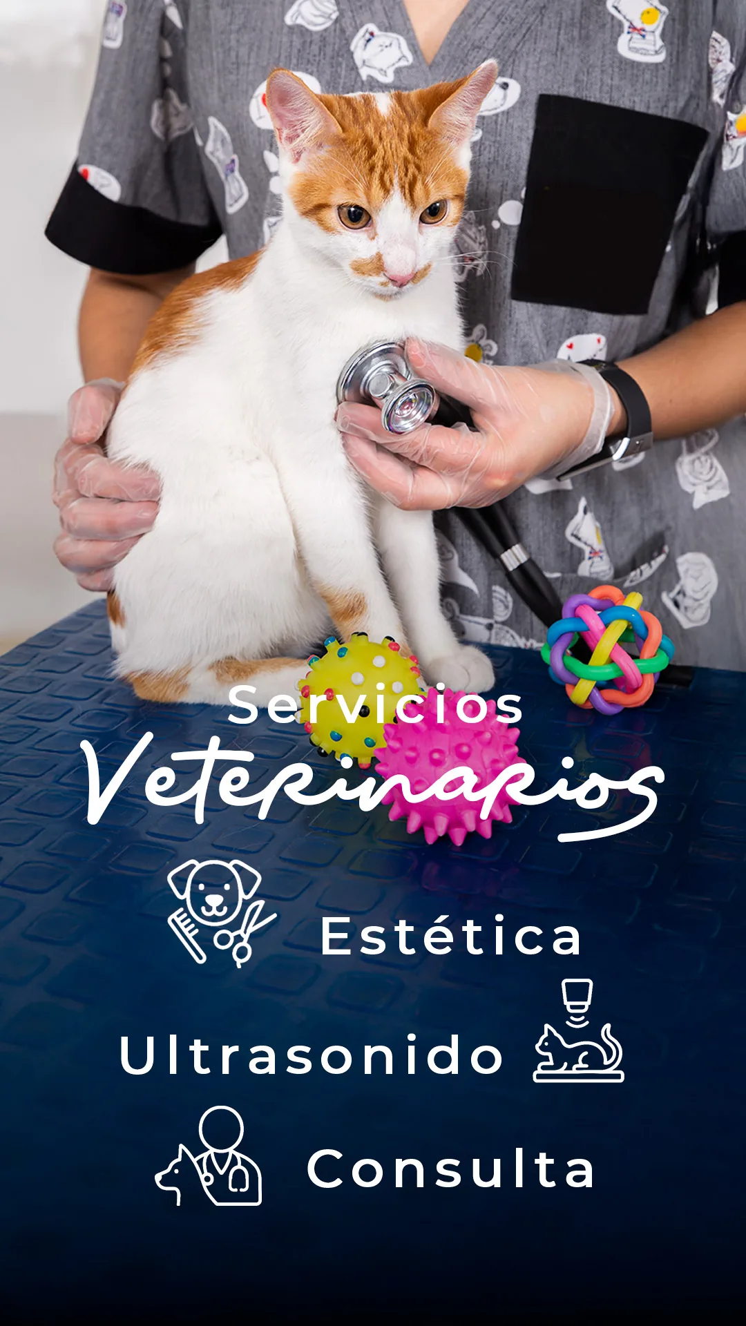PET