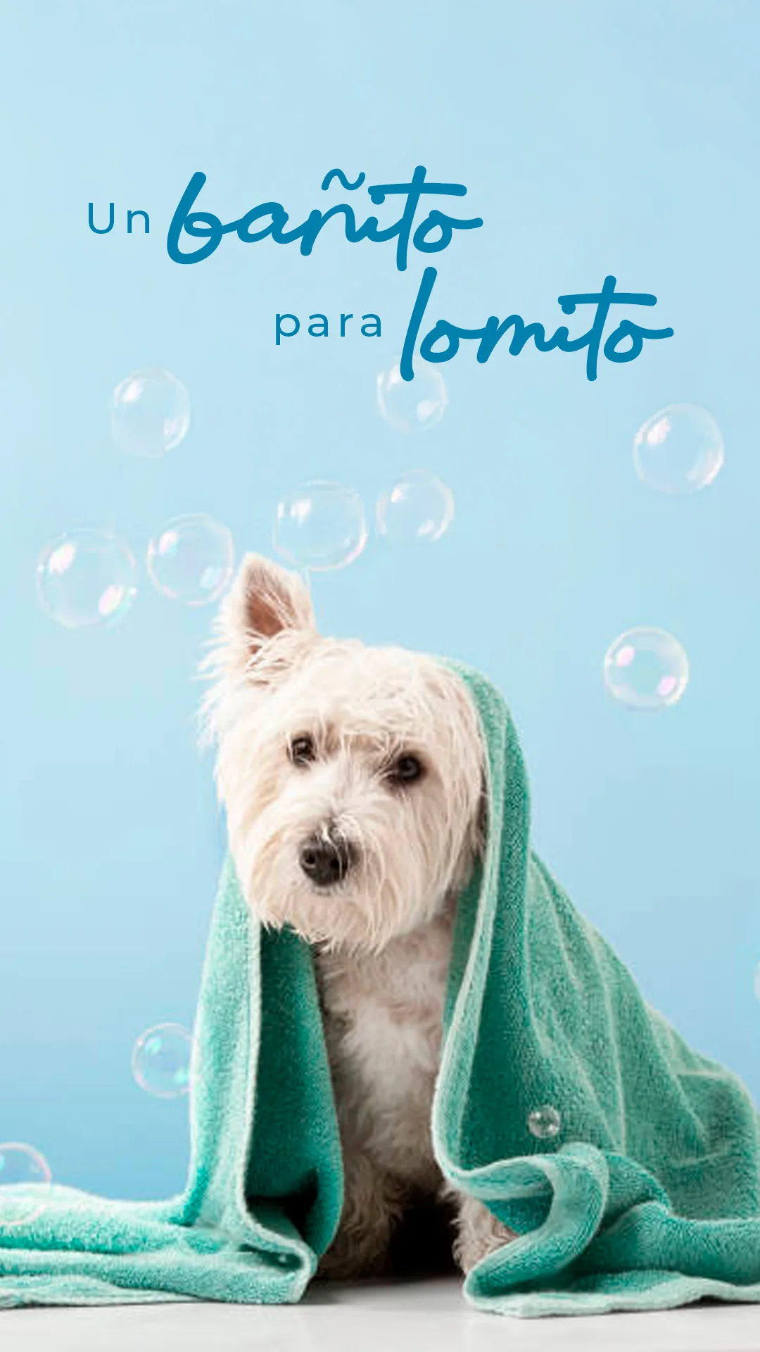PET