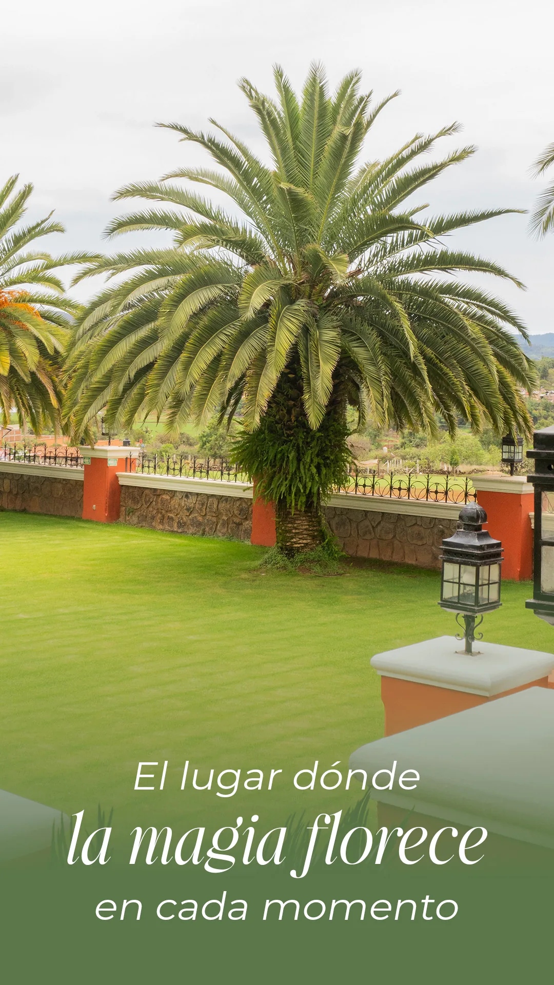 Finca La Vikina